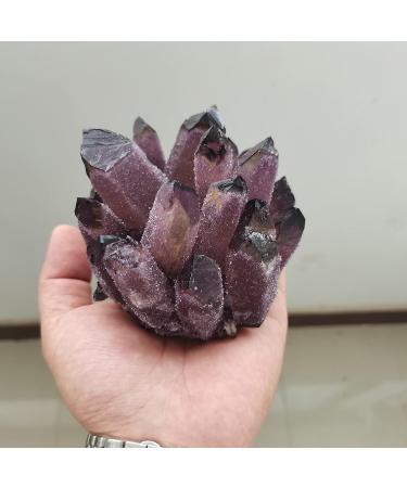 for 900g Natural Purple Ghost Phantom Quartz Crystal Cluster Rock Stones and Crystals Specimen Home 1pcs Crystal Cluster (Size : 700-800g) - Buy Online on GoSupps.com