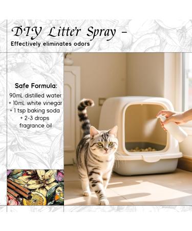 HIQILI 100ML Pure Ginger Essential Oil & 30ML Floral Veil Fragrance Oil for DIY Diffuser - Buy Online on GoSupps.com