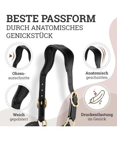 Esposita Seilhafter Ranch Halfter for Horses | Leather & Rope Halter with Brass Fittings | Ideal for Riding & Hiking | Size COB/VB | Black - Buy Online on GoSupps.com