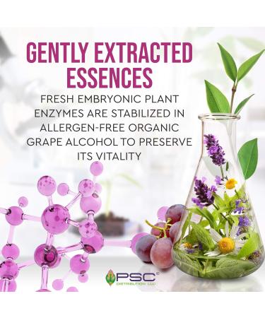 Allergy Lift Gemmotherapy - 50ml Budding Plant Stem Cell Extract | Natural Allergy Relief - Buy Online on GoSupps.com