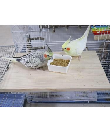 40 x 26 cm Large Bird Platform Natural Wood Pet Climbing Platform Small Animal Cage Accessories for Parrots Budgies Cockatiels Rats Hamsters Guinea Pigs 40 26 CM - Buy Online on GoSupps.com
