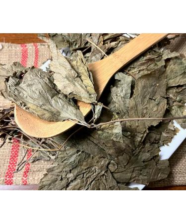 TCM Herbs USA / Ren Shen Ye / Ginseng Radix Leaves / Panax Ginseng Leaves (4 oz) - Buy Online on GoSupps.com
