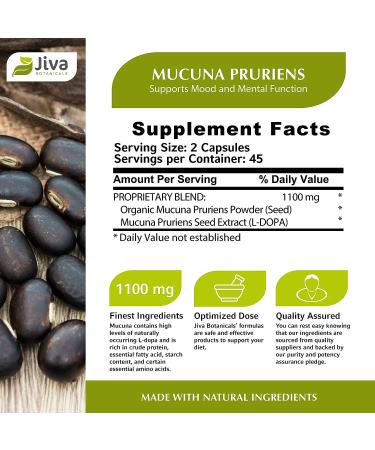 Mucuna Pruriens Capsules 1100mg - Dopamine Support Supplement - Velvet Beans with L-Dopa - 90 Capsules - Buy Online on GoSupps.com