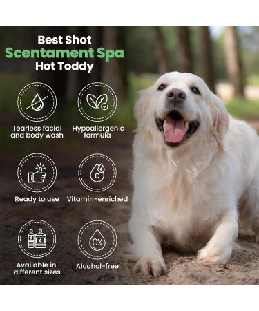 Best Shot Scentament Spa Hot Toddy Facial & Body Wash - 1 Gallon USA | International Shipping Available - Buy Online on GoSupps.com