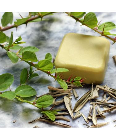 SIDR and Olive leaf Solid Conditioner / 100% Natural // Made in Canada - Muslim Cosmetics - SIDR Conditioner - Buy Online on GoSupps.com