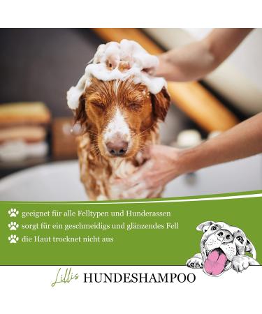 Lillis Dog Shampoo 500ml with Tea Tree Oil | Anti-Itch & Odor Relief for All Breeds | Shiny Fur & Healthy Skin - Buy Online on GoSupps.com