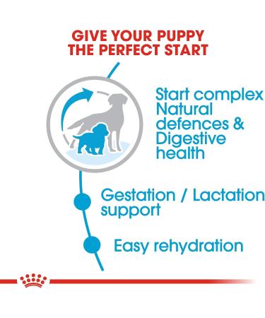 Royal Canin - Dog food - Mother and puppy - 12 kg - Buy Online on GoSupps.com