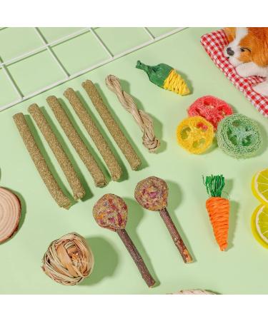 AKlamater 14Pcs Rabbit Chew Toys Natural Sticks for Rabbits Loofah Wood Grass Ball String for Rabbits Guinea Pig Hamsters Chinchilla - Buy Online on GoSupps.com