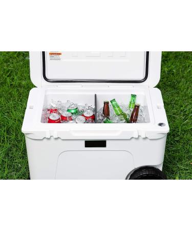 Yeti HAUL Cooler Compatible Cutting Board and Divider - Haul Size - Buy Online on GoSupps.com