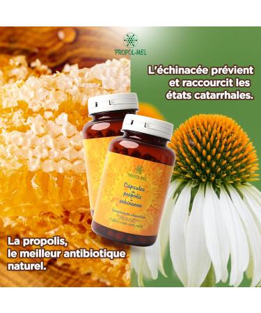 Propolis capsules + Echinacea. 120 capsules x 500 mg (350 mg Propolis + 150 mg Echinacea). Dietary supplement that helps activate the immune system. - Buy Online on GoSupps.com