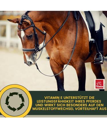 Emma Mineral Feed for Horses - High-Dose Vitamin B Complex Biotin Zinc Selenium Magnesium & Vitamin D - 5kg - Buy Online on GoSupps.com