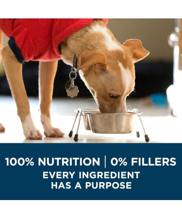 Purina ONE +Plus Dry Dog Food Skin & Coat with Salmon - 1.6 kg Bag 1.6 kg (Pack of 1) - Buy Online on GoSupps.com