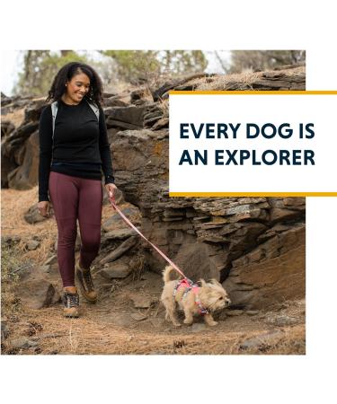 RUFFWEAR Flagline XS Reflective Dog Harness with Handle | Lightweight & Adjustable | Alpenglow Pink - Buy Online on GoSupps.com