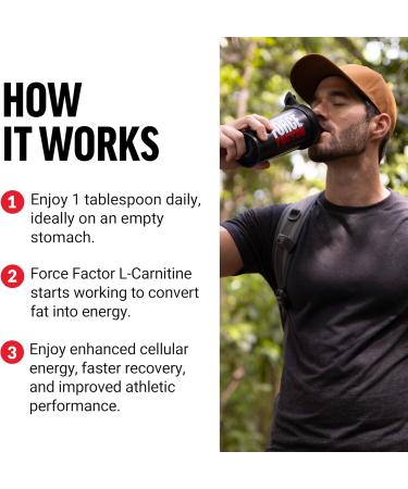 Force Factor L-Carnitine Liquid Supplement 3000 mg | Boost Energy Muscle Recovery & Fat Loss | Non-GMO Berry Flavor - 16 Oz - Buy Online on GoSupps.com