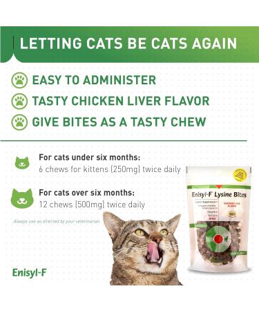 Vetoquinol Enisyl-F Lysine Bites for Cats & Kittens - Chicken Liver Flavor L-Lysine Chews 6.4oz - International Shipping Available - Buy Online on GoSupps.com