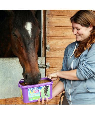 Likit Paddock 8kg | Horse Lick with Essential Vitamins & Minerals | Added Benefit of Garlic Yeast & Oils | 8kg - Buy Online on GoSupps.com