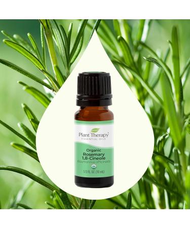 Buy Plant Therapy Organic Rosemary Essential Oil - 100% Pure USDA Certified Undiluted Aromatherapy - 10 mL - International Shipping Available - Buy Online on GoSupps.com