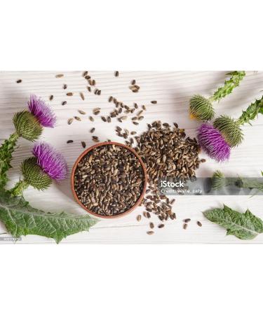 LO+NATURAL Cardo Mariano 60 caps 1000 mg c/u (Milk Thistle) - Herbal Dietary Supplement | Extra Forte - Buy Online on GoSupps.com