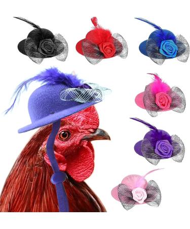 Elastic Chicken Hats for Hens - Set of 6 Funny Accessories for Rooster, Duck, Parrot - Stylish Poultry Costume - Buy Online on GoSupps.com