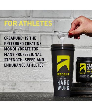 Ascent Clean Creatine Monohydrate Powder | 5G Creapure Creatine Supplement | Unflavored | 45 Servings - International Shipping - Buy Online on GoSupps.com