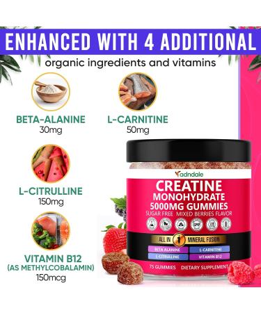 Adndale Creatine Gummies for Women & Men 5000mg per Serving Creatine Monohydrate Supplement with Beta-Alanine L-Citrulline & B12-75 Vegan Gummies. Sugar-Free - Buy Online on GoSupps.com