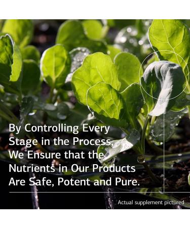 Standard Process Catalyn - Whole Food Foundational Support with Vitamin D, C, A, B Vitamins, and Magnesium - 360 Tablets - Buy Online on GoSupps.com