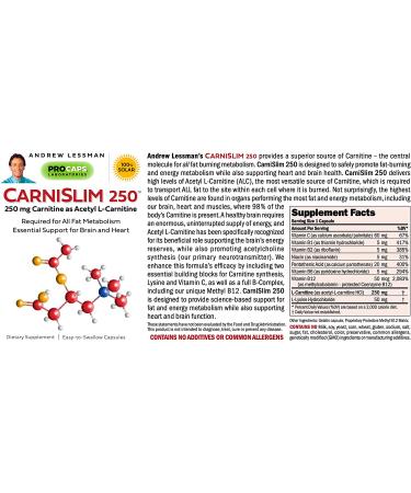 Andrew Lessman Carnislim 250-60 Capsules - Fat Burning & Energy Metabolism Support | Ephedra-Free Formula with 250mg Carnitine & B-Complex | No Additives - 60 Count - Buy Online on GoSupps.com