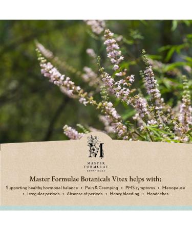 Master Formulae Vitex Chasteberry Tincture | Extra Strength for Hormone Balance | PMS Relief | 100mL - Buy Online on GoSupps.com