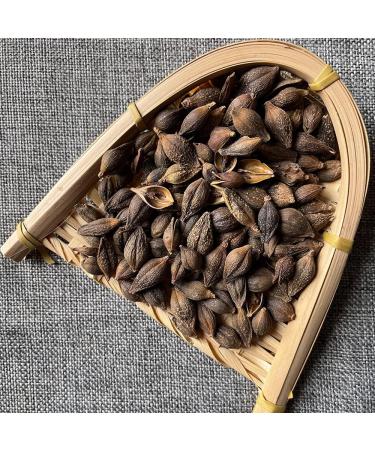 Forsythia Fructus Forsythiae golden Bell Forsythia Fruit Forsythia Suspensa lianqiao Forsythia Suspensa Vahl the Fructus Forsythiae Forsythia SuspensaVahl the Forsythia (8 oz) - Buy Online on GoSupps.com