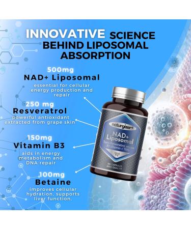 naturgizer+ Liposomal NAD+ Supplement with Resveratrol, TMG & Vitamin B3 | 4-in-1 Healthy Aging & Cellular Energy Support | High Absorption NAD Plus for Men & Women Over 40 | 120 Capsules - Buy Online on GoSupps.com