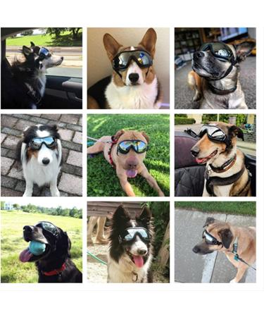 JIAMIAN Dog Goggles - Anti-UV Windproof Eye Protection for Medium & Large Dogs, Black - Buy Online on GoSupps.com