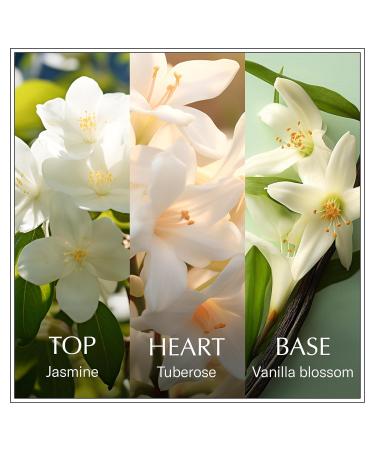 Chanson Jasmine Eau de Toilette 3.4 fl oz (Pack of 1) Notes of Jamine Tuberose and Vanilla Women's Fragrance Long Lasting Everyday Fragrance Travel Size 3.4 Fl Oz (Pack of 1) Jasmine - Buy Online on GoSupps.com