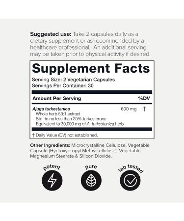 Turkesterone Supplement for Men - Ultra High Potency 50:1 Extract with 20% Turkesterone - Highly Concentrated - Third-Party Lab Tested - 60 Capsules 60 Count (Pack of 1) - Buy Online on GoSupps.com