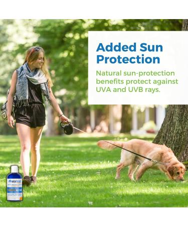 Waxhead Zinc Soap - Antifungal Scalp Sunscreen & Body Wash | Zinc Face & Hair Wash (8oz) - International Shipping Available - Buy Online on GoSupps.com