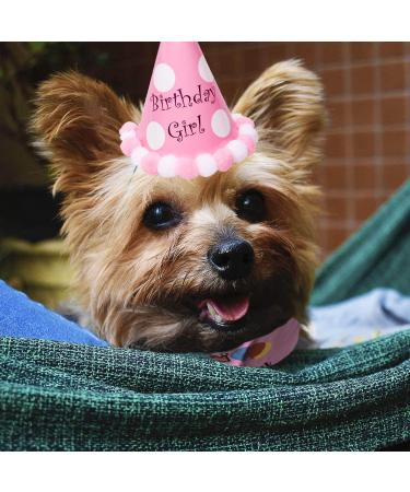 Suoxu Dog Birthday Party Hat & Gift Set - Cute Cotton Triangle Scarf & Happy Birthday Bandana for Puppies - Buy Online on GoSupps.com