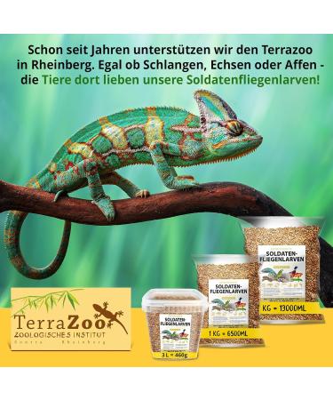 Dried soldier fly larvae 2 kg (equivalent to 13 liters) Black Soldier Flys bird food hedgehog with in - Buy Online on GoSupps.com