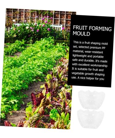 Toddmomy 6 Pcs Ingot Shaped Mold Vegetables Melon Mold Pear Vegetable Fruit Gardening Supplies - Buy Online on GoSupps.com