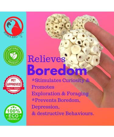 Bonka Bird Toys Sola Atta Balls - Organic Foot Beak Chew Toy for Small Pets - Pack of 3 - Buy Online on GoSupps.com