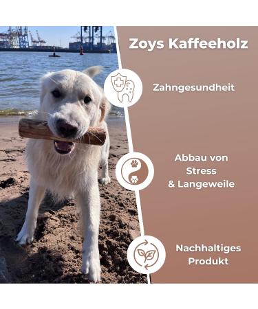 Zoyys Coffee Wood Chewing Bones for Dogs - Advantage Pack (3x Size M 7-15kg) | Natural Dental Health & Sustainable Dog Accessories - Buy Online on GoSupps.com