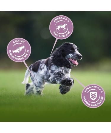 Eukanuba Dog Puppy Dry Food For Medium Breed Chicken 3Kg - Buy Online on GoSupps.com
