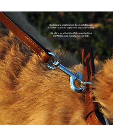 Premium Leather Sniffing Fans Dog Collar - Padded Robust & Adjustable for Large Medium & Small Dogs (XL 46-55cm Brown) - Buy Online on GoSupps.com