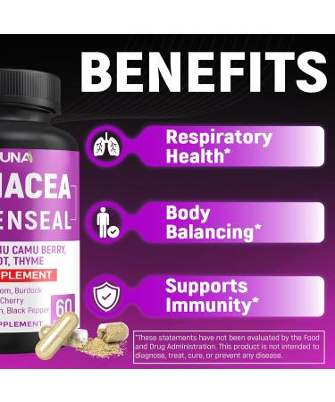 CIVIMUNA Echinacea Capsules with Echinacea Goldenseal Root Elderberry - 120 Capsules for 4 Months Supply (Pack of 2) - Buy Online on GoSupps.com