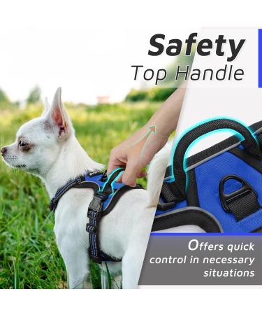 Buy Eagloo Anti-Train Dog Harness for Small Dogs - Adjustable Durable Reflective Strips for Walking & Jogging - XS Blue (1 Pack) - Buy Online on GoSupps.com