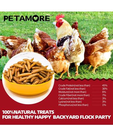 Dried Black Soldier Fly Larvae for Chickens & Poultry - 5 lb Pack | Alternative to Mealworms for Laying Hens, Fowl, Reptiles, and Amphibians - Buy Online on GoSupps.com