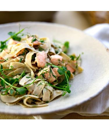 Steiners Low Carb High Protein Pasta Box | Fusilli & Tagliatelle (Vegan Options) | Keto-Friendly | 250g Each | Ideal for Reduced Carbohydrate Diets - Buy Online on GoSupps.com