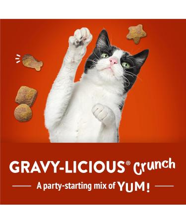 Friskies Party Mix Cat Treats Gravy-licious Crunch Chicken and Gravy - 170 g Pouch (1 Pack) 170 g (Pack of 1) Cat Treats - Buy Online on GoSupps.com