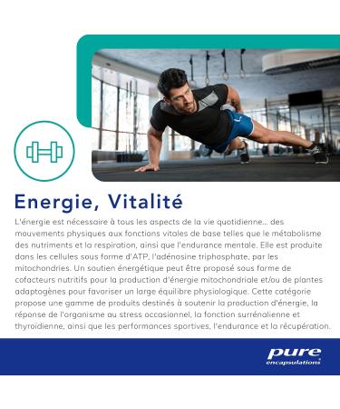 Pure Encapsulations Cogni Activ Cognitive Functions Support with Vitamins B6 B9 B12 Folate Zinc Lutein and Zeaxanthin - 60 Capsules - Buy Online on GoSupps.com