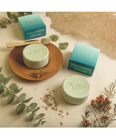 Exfoliating Bars of Soap - Natural Ingredients, Assorted Scents - Icelandic Kelp & Moss, Set of 2, 4 oz Each - Buy Online on GoSupps.com