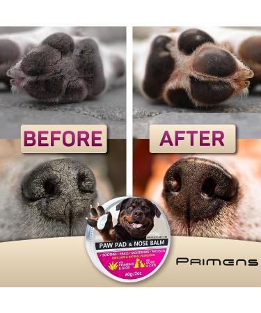 Natural Dog Paw Balm for Hot Pavement Protection | Paw Wax for Dry & Cracked Paws | Paw Moisturizer for Cats & Dogs - Buy Online on GoSupps.com