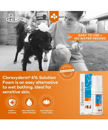 Clorexyderm 4% Foam Mousse Dry Shampoo for Dogs & Cats - Antibacterial & Antifungal - 100 ml - Relieves Dry Itchy Skin, Moisturizes & Softens Coat - Buy Online on GoSupps.com